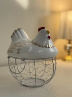 جا تخم مرغی