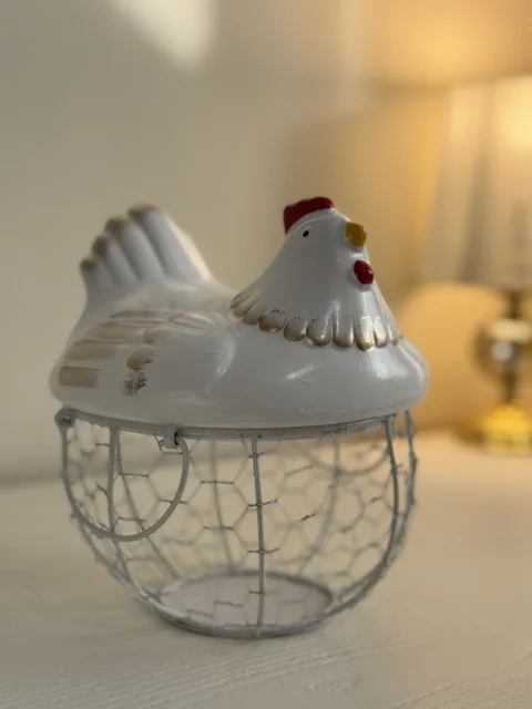 جا تخم مرغی